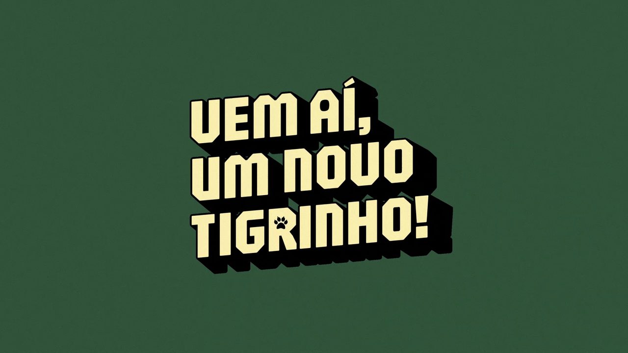 Seu Novo Tigrinho